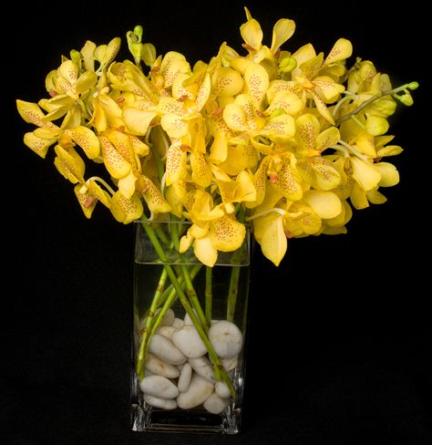 This is an arrangement featuring yellow mokara orchids.  See our entire selection at www.starflor.com.  To purchase any of our floral selections, as gifts or décor, please call us at 800.520.8999 or visit our e-commerce portal at www.Starbrightnyc.com. This composition of flowers is generally available for same day delivery in New York City (NYC). OR102 Yellow Orchids Centerpiece, Mokara Orchids, Orchid Flower Arrangements, Gala Ideas, Vanda Orchids, Modern Flowers, Modern Presentation, Yellow Orchid, Orchid Bouquet