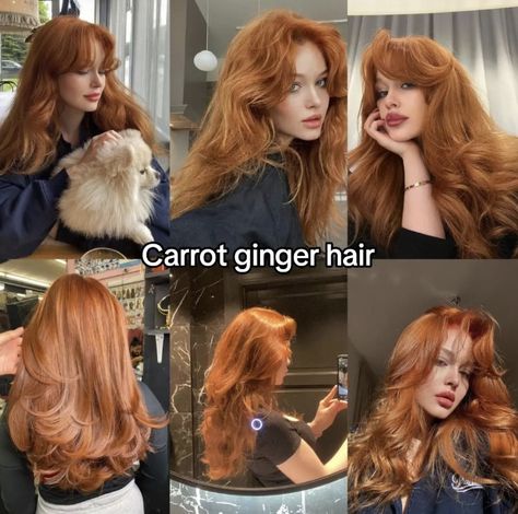 Hair Color Streaks, Ginger Hair Color, Hair Color Auburn, Strawberry Blonde Hair, Pretty Hair Color, Haircuts Straight Hair, Dye My Hair, Hair Dye Colors, Hair Inspiration Color