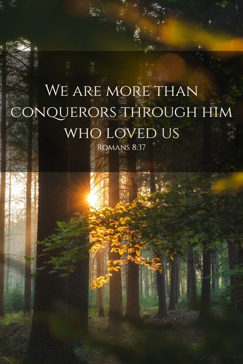 Wallpapers: Romans 8:37 Romans 8:11 Wallpaper, Romans 8:37 Wallpaper, Exams Motivation, We Are More Than Conquerors, Mind Connection, More Than Conquerors, God Power, Bible Learning, Bible Wallpaper