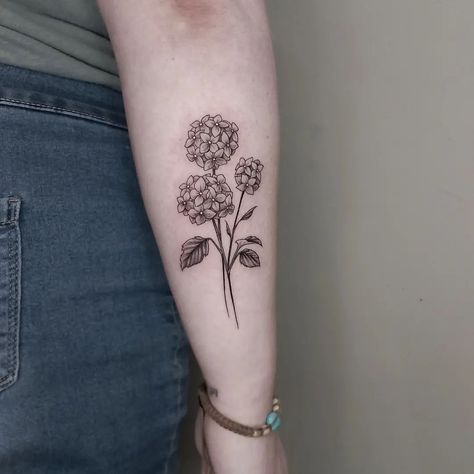 Hydrangea by @marcelina.tattoo 🌸 Marcy is taking bookings for June and July - to book your fine line tattoo contact her or the studio directly: ��🌺 @marcelina.tattoo 🌺 @hammersmith_tattoo_london #tattoo #fineline #finelinetattoo #finelinelondon #finelinetattoolondon #londontattoo #hammersmith #tattoolondon #hammersmithtattoo #london Hydrangea Tattoo, Fine Line Tattoo, London Tattoo, Line Tattoo, And July, Fine Line Tattoos, Line Tattoos, Fine Line, Flower Tattoos