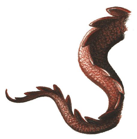 dragon tail Dragon Tail Drawing, Tail Drawing, Medical Astrology, Dragon Tail, Clay Dragon, Dragon Claw, Graphic Poster Art, Cute Dragons, Dragon Drawing