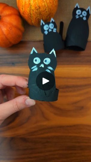 Toilet Paper Roll Cat, Halloween Shelves, Paper Cat Craft, October Ideas, Creative Arts Therapy, Happy Haunting, Spooky Black, Toilet Paper Tube, Halloween Music