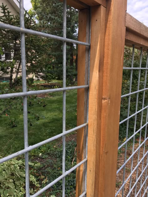 Modern Cattle Panel Fence, Wired Fence With Wood, Hogwire Fence, Wood And Wire Fence Ideas, Hog Panel Fencing, Wire And Wood Fence, Diy Fence Ideas, Front Yard Design Ideas, Yard Design Ideas