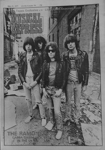 The Ramones Aesthetic, 70s Punk Aesthetic, Punk Rock 80s, Punk Character, Indie Band, The Ramones, 70s Punk, Joey Ramone, Robert Johnson