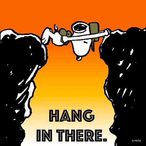 Hang in there Peanuts Quotes, Snoopy Funny, Charles Schulz, Images Disney, Peanuts Cartoon, Snoopy Quotes, Hang In There, Snoopy Pictures, Snoop Dog