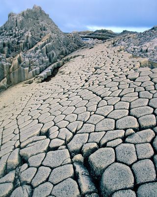 Our planet has quite a knack for creating surreal natural landscapes. Case in point: Basalt rock columns. Kuril Islands, Earth Layers, Basalt Rock, Basalt Columns, Geology Rocks, Natural Structures, Natural Landscapes, Ancient Tree, Beautiful Places On Earth