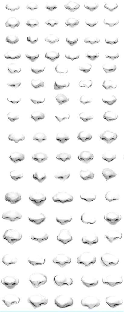 Draw Noses, Pencil Drawing Tutorials, Drawing Eyes, Nose Drawing, 얼굴 그리기, Drawing Faces, Sketches Tutorial, Digital Painting Tutorials, Sketchbook Pages