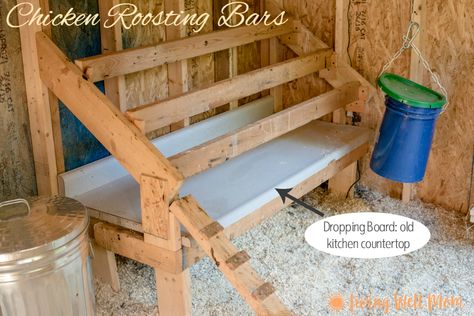 Chicken roosting bars with a dropping board. Plus check out a tour of our chicken coop! Chicken Husbandry, Chicken Roosting Bars, Roosting Bars, Chicken Roost, Chicken Barn, Urban Homestead, Portable Chicken Coop, Chicken Pen, Diy Chicken Coop Plans