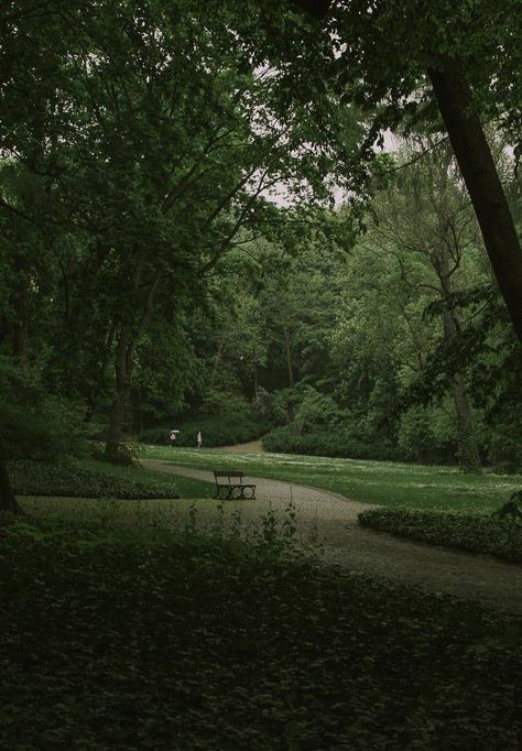 숲 사진, Dark Forest Aesthetic, Dark Green Aesthetic, Nature Pics, Forest Path, Pretty Landscapes, Severus Snape, Green Forest, Dark Skies