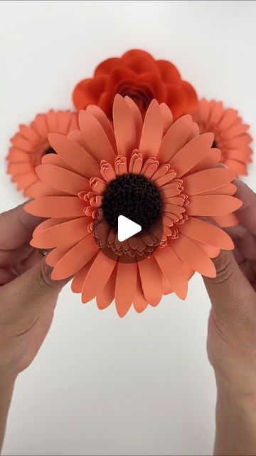 Paper Daisies Diy, 3d Flowers Paper, Diy Daisy Flower, Paper Flower Bouquet Diy, 3d Butterfly Art, Paper Flower Art, Paper Daisy, Gerbera Daisies, Paper Sculptures