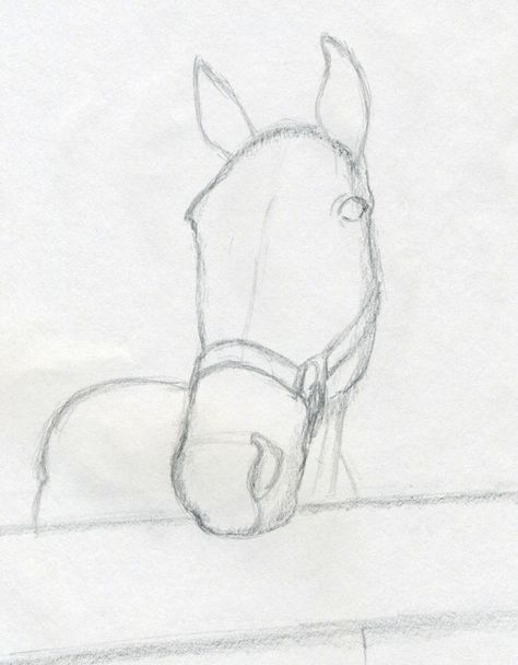 Draw Horse Head, Easy Horse Drawing, Draw Horse, Horse Head Drawing, Horse Art Drawing, Horse Sketch, Horse Face, Horse Drawing, Horse Drawings