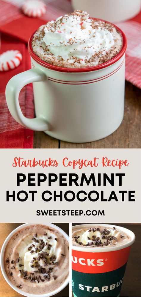 Hot Chocolate Recipes Peppermint, Peppermint Mocha Hot Chocolate, Peppermint Hot Cocoa Recipe, Peppermint Hot Cocoa Mix Recipe, Starbucks Peppermint Hot Chocolate, Homemade Peppermint Hot Chocolate, Crockpot Peppermint Hot Chocolate, Cocoa Recipes Powder, Starbucks Hot Chocolate Recipe