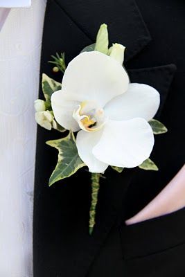 Flower Design Buttonhole & Corsage Blog: Groom's Special ... Orchid Corsage And Boutonniere, Gold Corsage Prom, Groom Corsage, Orchid Boutonniere, Orchid Corsages, Ranunculus Boutonniere, Groom's Boutonniere, Bridal Party Flowers, Button Holes Wedding