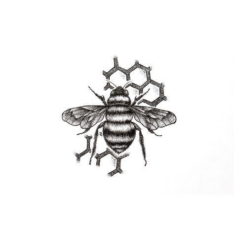 Bee Behind The Ear Tattoo, Bee Tattoo With Honeycomb, Bee With Honeycomb Tattoo, Bee And Honeycomb Tattoo, Bee Diagram, Drawing Of A Bee, Tattoo Bee, Tiny Drawings, Bee Tattoos