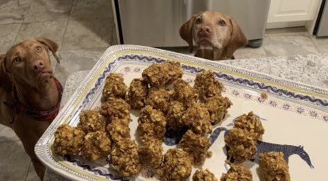 Since it’s officially fall, we’re sharing this awesome no-sugar DIY pumpkin pet treat recipe from SmartPak (no-sugar means they're okay for those metabolic, IR, and/or easy-keeping pets). These treats are great for your equine, canine, or human pals -- and they'll make your house smell amazing. Pumpkin Horse Treats, Make Your House Smell Amazing, Pet Treats Recipes, Seasonal Baking, Pet Treat, Oats Quaker, Kitchen Smells, Horse Treats, Smell Amazing