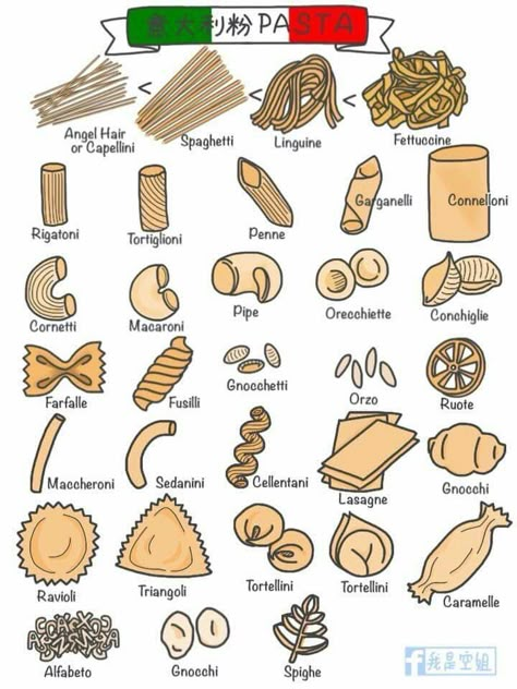 Pasta Chart Types Of, Different Kinds Of Pasta Noodles, Pasta Business Name Ideas, Different Types Of Pasta Noodles, Easy Pasta Shapes, Pasta Types Shape Names, Pasta Infographic, Pasta Shapes By Hand, Noodles Types