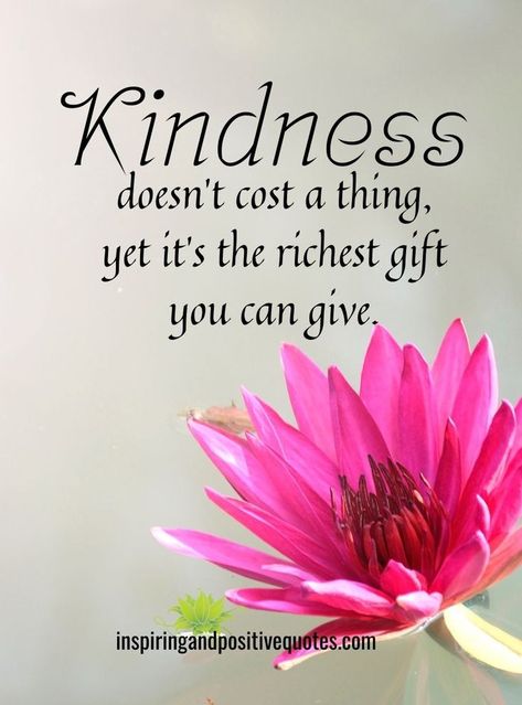 KINDNESS doesn't cost a thing, yet it's the richest gift you can give. Summer Quotes Instagram, Rich Gifts, Happy Morning Quotes, Career Quotes, Postive Life Quotes, Kindness Quotes, Easel Cards, Fancy Fold Cards, Daily Inspiration Quotes