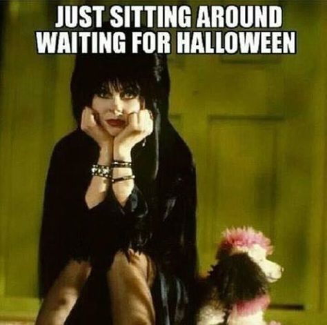 Waiting For Halloween halloween halloween quotes halloween quote elvira halloween humor funny halloween Funny Halloween Pictures, Halloween Costumes 2014, Halloween Humor, Elvira Mistress Of The Dark, Halloween Memes, Halloween Queen, Halloween Quotes, Psychobilly, Halloween Pictures