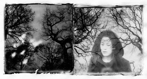 Alternative Processes: Emulsion Lifts · Lomography Polaroid Emulsion, Emulsion Lift, Polaroid Photography, Alternative Photography, Instant Photography, Winter Woods, Photo Techniques, Experimental Photography, Alternative Art