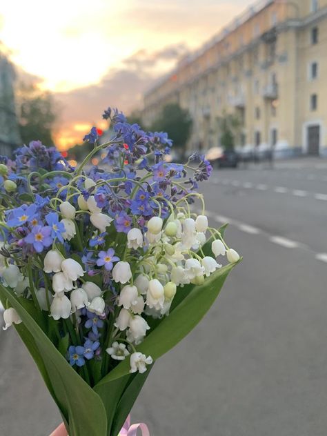 Frühling Wallpaper, Boquette Flowers, A Bouquet Of Flowers, Nothing But Flowers, Flower Therapy, Beautiful Bouquet Of Flowers, Spring Aesthetic, Pretty Plants, Bouquet Of Flowers