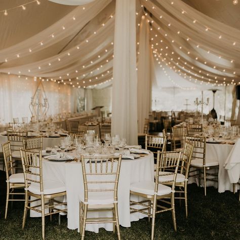 Wedding Tent Draping, Tent Draping, Backyard Tent Wedding, Reception Lighting, Party Canopy, Wedding Draping, Backyard Tent, Gold Drapes, Wedding Reception Lighting