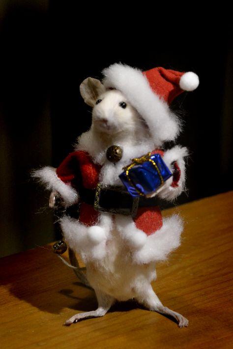 Taxidermy Santa Mouse by Deni Kendig of Sparrowsongs Christmas Carol Ghost Of Christmas Past, Funny Wallpapers Lockscreen, Mouse Taxidermy, Rats Funny, Taxidermy Rat, Christmas Carol Ghosts, Taxidermy Mouse, Santa Mouse, Baby Rats