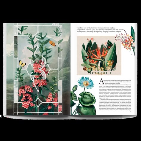 Issue 10 Single Copy — Broccoli Broccoli Magazine, Gardens Of Babylon, International Magazine, Plant Book, Stained Glass Designs, Book Layout, Hanging Garden, Magazine Layout, A Magazine