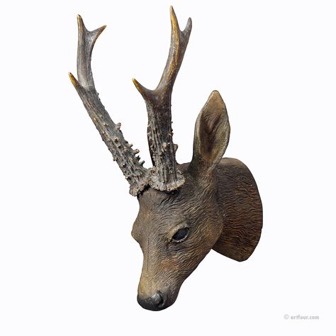 Lovely Antique Black Forest Deer Head ca. 1900s Antlers Decor, Small Deer, Forest Deer, Forest Wood, Deer Horn, Art Ancien, Wood Carvings, Deer Head, Old Barn