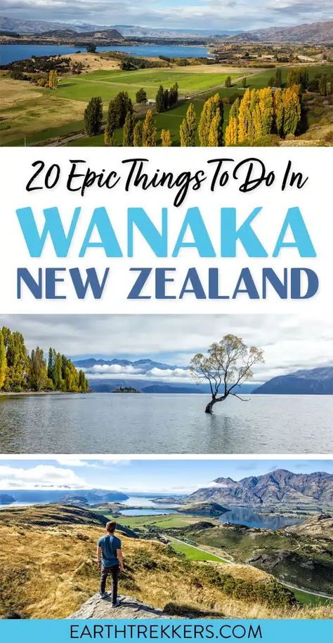 Best things to do in Wanaka, New Zealand. Roy's Peak Track, Wildwire via ferrata, hike the Rocky Mountain Track to Diamond Lake, visit a lavender farm, go wine tasting, cruise Lake Wanaka, and see #ThatWanakaTree. Earth Trekkers, Wanaka New Zealand, New Zealand Itinerary, Round The World Trip, Lake Wanaka, Travel Inspiration Destinations, Lavender Farm, Travel Spots, New Zealand Travel