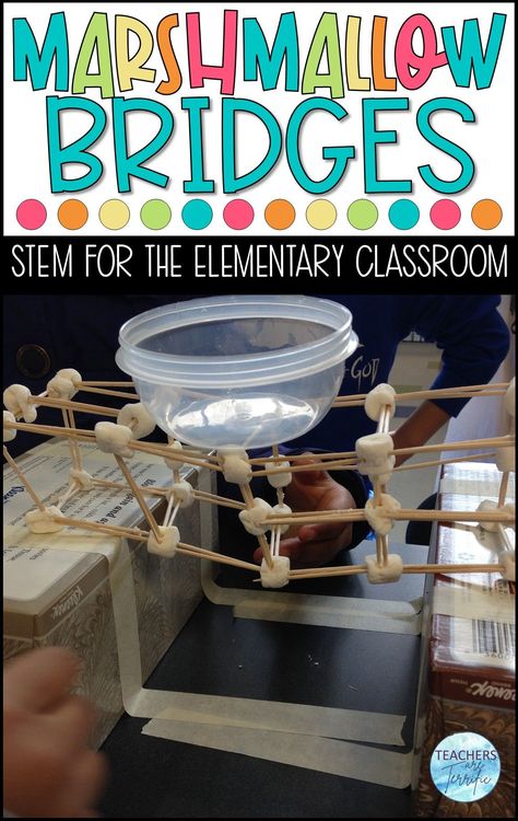 Makerspace Elementary Projects, Newtons 1st Law Of Motion Activities, Makerspace Challenges, Stem Activities Elementary, Spaghetti Tower, Thanksgiving Stem, Stem Students, Newton's Cradle, Stem Classes