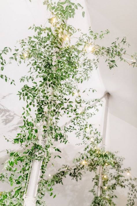 Smilax Vine, Greenery Installation, Vine Greenery, Greenery Aesthetic, Wedding Reception Tablescapes, Hanging Florals, Romantic Table Decor, Villa Woodbine, Greenery Wedding Bouquet