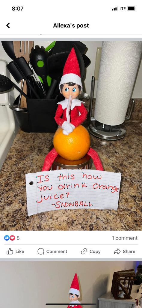 Elf On The Shelf With Oranges, Elf On The Shelf Ideas Oranges, Elf On The Shelf Ring Pop, Elf On The Shelf Oranges, Christmas Decs, Elf Activities, Xmas Elf, Ring Pop, Elf Ideas