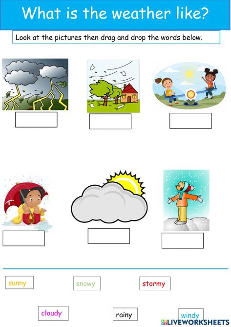 Kinds Of Weather Worksheet, Homes Around The World Preschool, Types Of Weather Worksheet, Weather Worksheets Preschool, Weather Kindergarten, Weather For Kids, Climate And Weather, Types Of Weather, Weather Tools