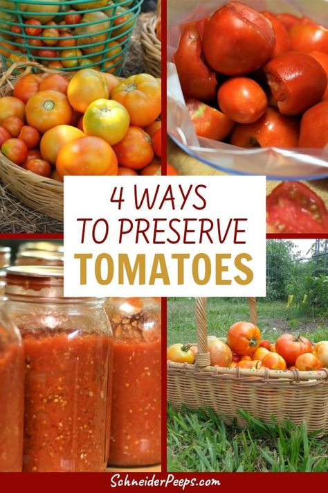 Tomatoes are the most popular backyard garden vegetable and at the height of the tomato season you'll find yourself with more tomatoes than you can eat fresh. Learn how to preserve tomatoes by canning, freezing, dehydrating, and fermenting. There's something for beginners and experienced food preservers. If you have a lot of tomatoes or just a few, there's a way to preserve them to use throughout the year. Dehydrating Tomatoes, Preserve Tomatoes, How To Store Tomatoes, Freezing Tomatoes, Preserving Tomatoes, Preserving Vegetables, Canning Vegetables, Dehydrated Vegetables, Canning Food Preservation