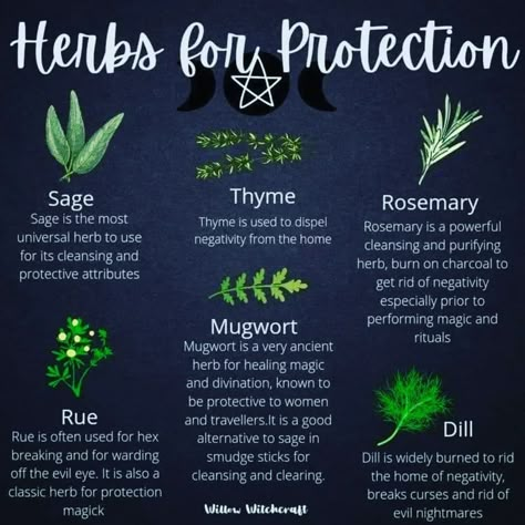 Herbs For Protection, Herbal Witch, Witchcraft Herbs, Magickal Herbs, Witch Herbs, Green Witchcraft, Witch Things, Witch Garden, Spell Jars