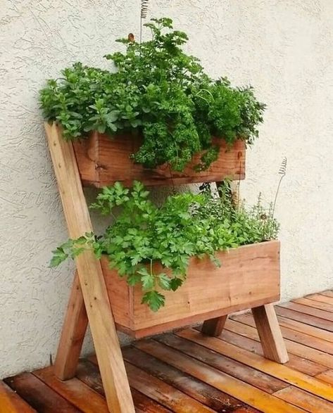 Spruce up your herb garden with Ladder Herb Garden Ideas - a unique and visually appealing way to cultivate your favorite herbs! Garden Ladder Ideas, Garden Ladder, Herb Garden Design, Herb Planters, Indoor Herb Garden, Veg Garden, Herbs Indoors, Backyard Garden Design, Wooden Planters