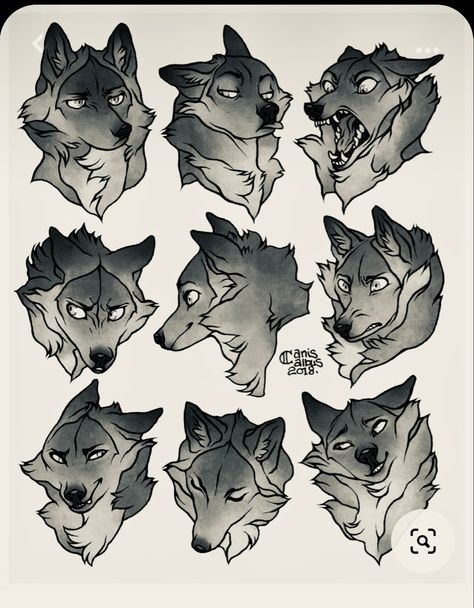 Wolf Side View, Wolf Anatomy, Wolf Head Drawing, Wolf Poses, Red Riding Hood Art, Anime Wolf Drawing, Wolf Paw, Wolf Character, Dog Anatomy