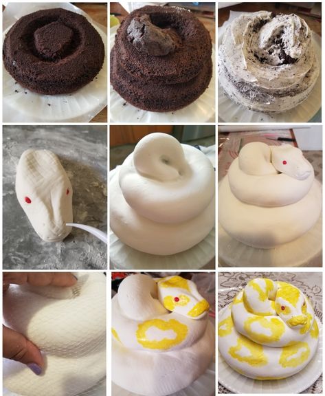 Snake Cake Tutorial, Snake Cake Ideas, Snake Cakes For Kids, Python Cake, Snake Birthday Cake, Snake Birthday Party, Vet Cake, Snake Cake, Alligator Party