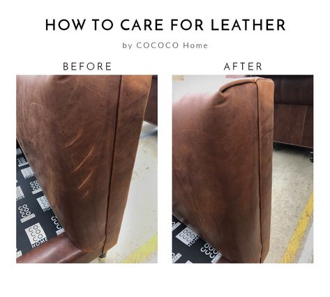 Want to learn how to care for a leather sofa? Read here to learn some basic leather couch maintenance tips, like how to remove stains and scratches. Gray Stained Cabinets, Wonderland Decor, Sofa Leather, Staining Cabinets, Old Sofa, Brown Leather Sofa, Raw Leather, Remove Stains, Furniture Rehab