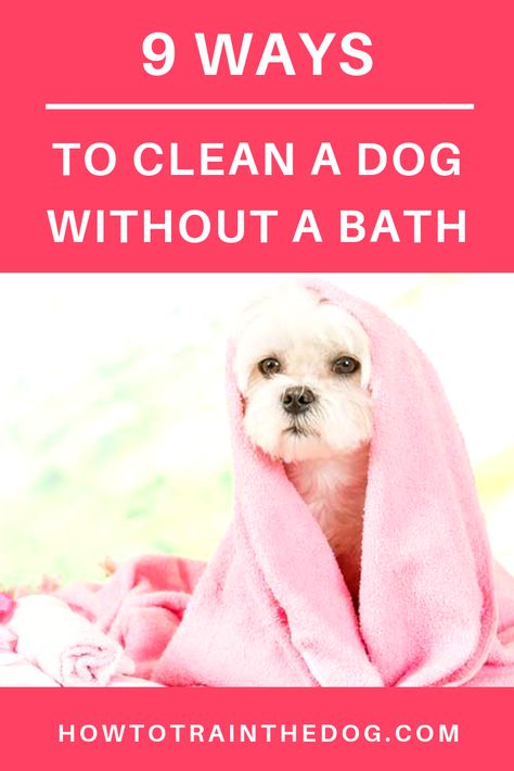 Do you own that dog that will do almost anything just to stay away from water? Worry no more because there are a number of alternatives to clean a dog without a bath.  #dogcare #dogcaretips #dogcare101 Dry Bath For Dogs, No Rinse Dog Shampoo Diy, Bathing Dogs Tips, How To Give A Dog A Bath At Home, Giving A Dog A Bath Tips, Washing Dogs Tips Bath, Stinky Dog, Smelly Dog, Elderly Dogs