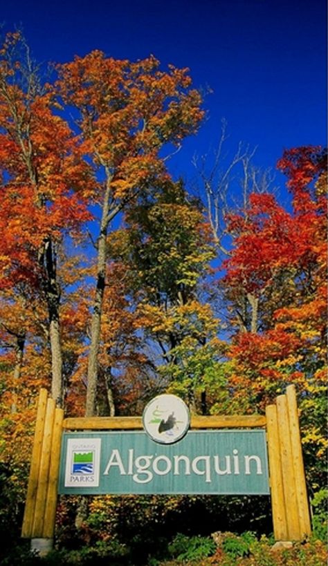 Algonquin Provincial Park Fall, 2025 Resolution, Algonquin Provincial Park, Canada Life, Ontario Road Trip, Samuel De Champlain, Ontario Parks, Camping Road Trip, Cabin Trip