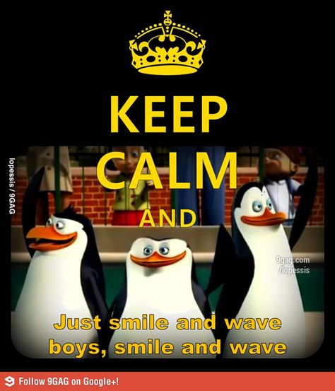 Life at rainforest cafe when your guest doesn't speak English and you can't speak their language... Keep Calm Funny, Two Penguins, Keep Calm Signs, Keep Calm Carry On, Penguins Funny, Penguins Of Madagascar, Keep Calm Posters, Smile And Wave, Keep Calm Quotes