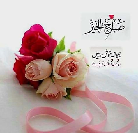 Assalamualaikum Good Morning, Good Night Lover, Subha Bakhair, Good Morning Wishes Friends, Subah Bakhair, Good Day Wishes, Gd Morning, Good Day Messages, Good Morning Arabic