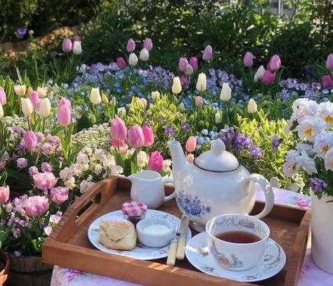 Scone Cream, Tea Party Aesthetic, Spring Inspo, Party Aesthetic, Spring Aesthetic, Dream Garden, Wedding Themes, Aesthetic Photo, Cottage Garden