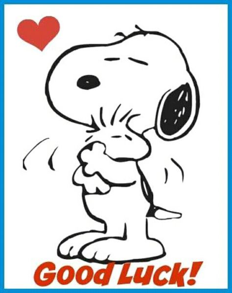 Snoopy Coloring Pages, Lucky Quotes, Snoopy Valentine's Day, Snoopy Valentine, Good Luck Symbols, Pet Camera, Good Luck Cards, Snoopy Quotes, The Peanuts