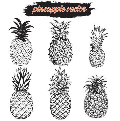 Pineapple silhouette vector set.  hand-drawn pineapple set. Pineapple Silhouette, Pineapple Drawing, Vector Snowflake, Apple Vector, Science Project, Food Science, Science Projects, Different Shapes, Homework