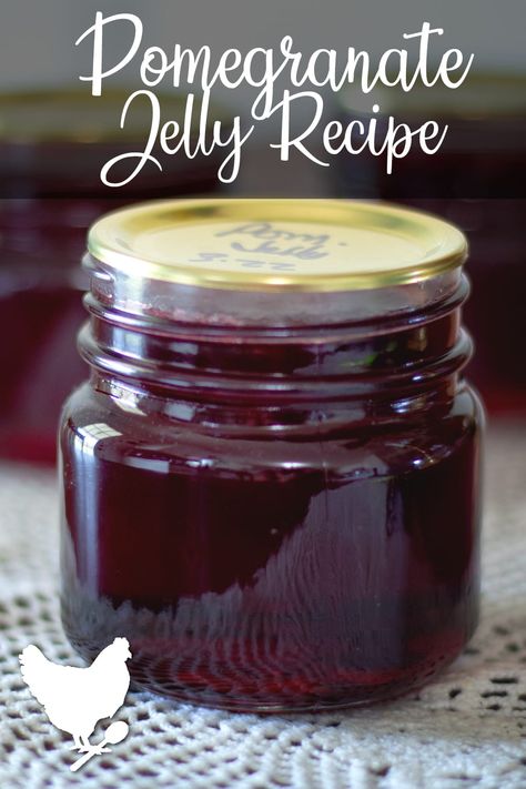 Canning Guide, Pomegranate Jam, Cosmopolitan Cornbread, Pom Juice, Pomegranate Jelly, Low Sugar Jam, Pomegranate Recipes, Canning Fruit, Canning Food Preservation