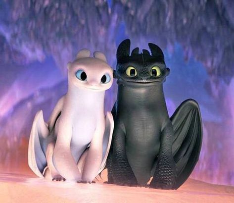 How To Train Your Dragon Couple, Hicks Und Astrid, Toothless Wallpaper, Cute Toothless, Toothless And Stitch, Night Fury Dragon, Dragon Wallpaper Iphone, Messi Videos, Toothless Dragon