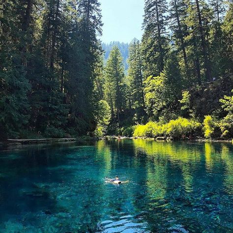 These Beautiful Wild Horses Were Unknown Until Discovered In Oregon In 1977 | That Oregon Life Blue Pool Oregon, Oregon Aesthetic, Oregon Lakes, Oregon Nature, Oregon Life, Oregon Hikes, Oregon Road Trip, Eastern Oregon, Blue Pool