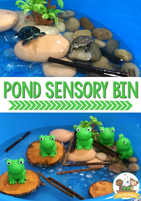 Frog Sensory Bin, Pond Sensory Bin, Pond Sensory, Snow Sensory, Pre K Classroom, Activity Sensory, Toddler Sensory Bins, Sensory Tubs, Frog Theme